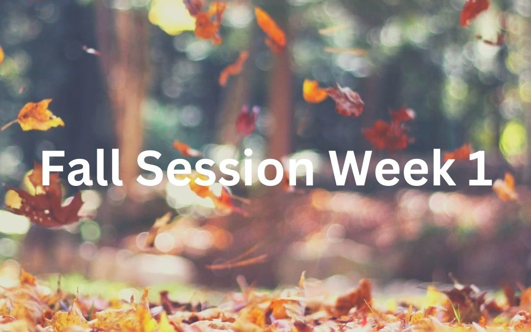 Fall Session Week 1: Tuesday, September 3rd – Monday, September 9th