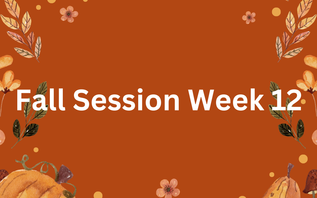 Fall Session Week 12: Tuesday, November 19th – Monday, November 25th