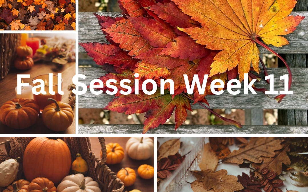 Fall Session Week 11; Tuesday, November 12th – Monday, November 18th