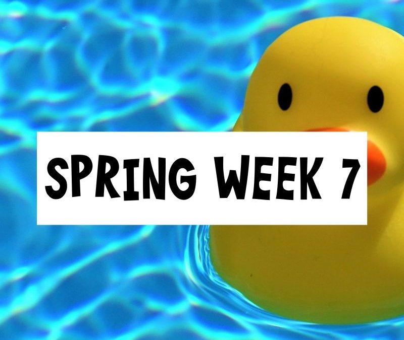Spring Session Week 7; Saturday March 16th – Friday March 22nd