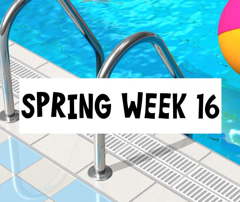 Spring Session Week 16; Monday, May 12th – Sunday, May 18th