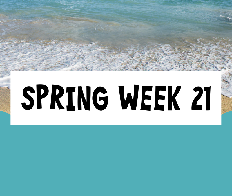 Spring Session Week 21; Tuesday, June 17th – Monday, June 23rd