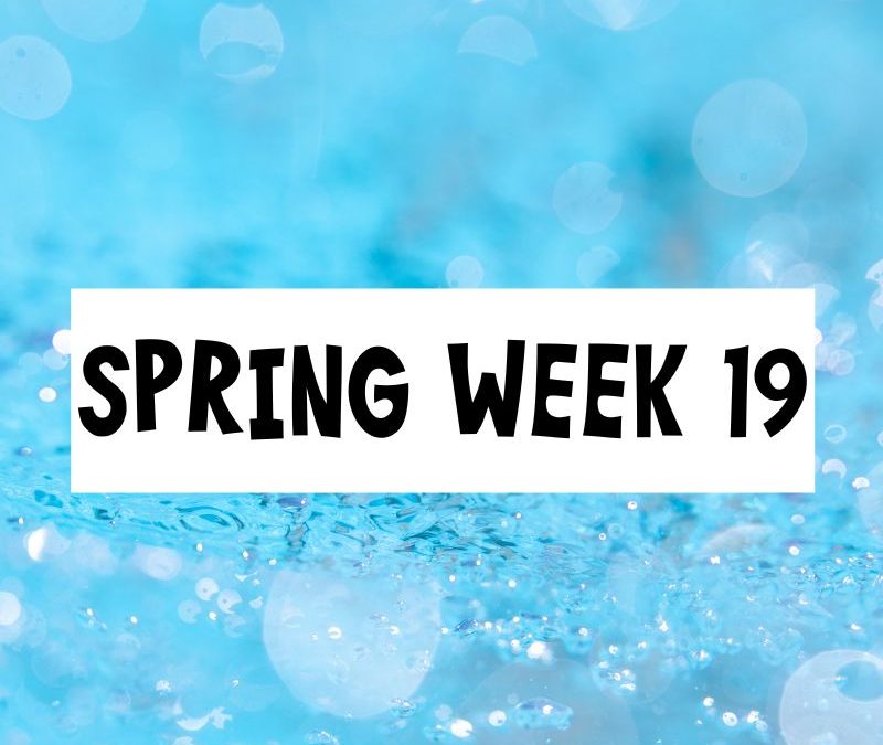 Spring Session Week 19; Tuesday, June 3rd – Monday, June 9th