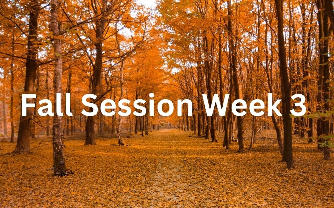 Fall Session Week 3: Tuesday, September 17th – Monday, September 23rd