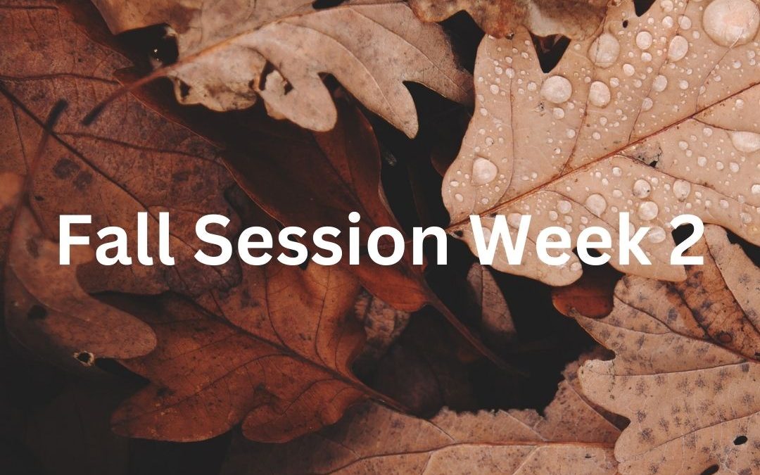 Fall Session Week 2: Tuesday, September 10th – Monday, September 16th