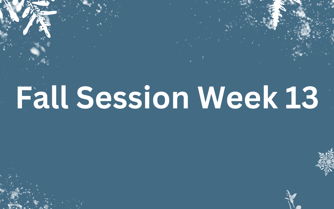 Fall Session Week 13: Monday, December 2nd – Sunday, December 8th