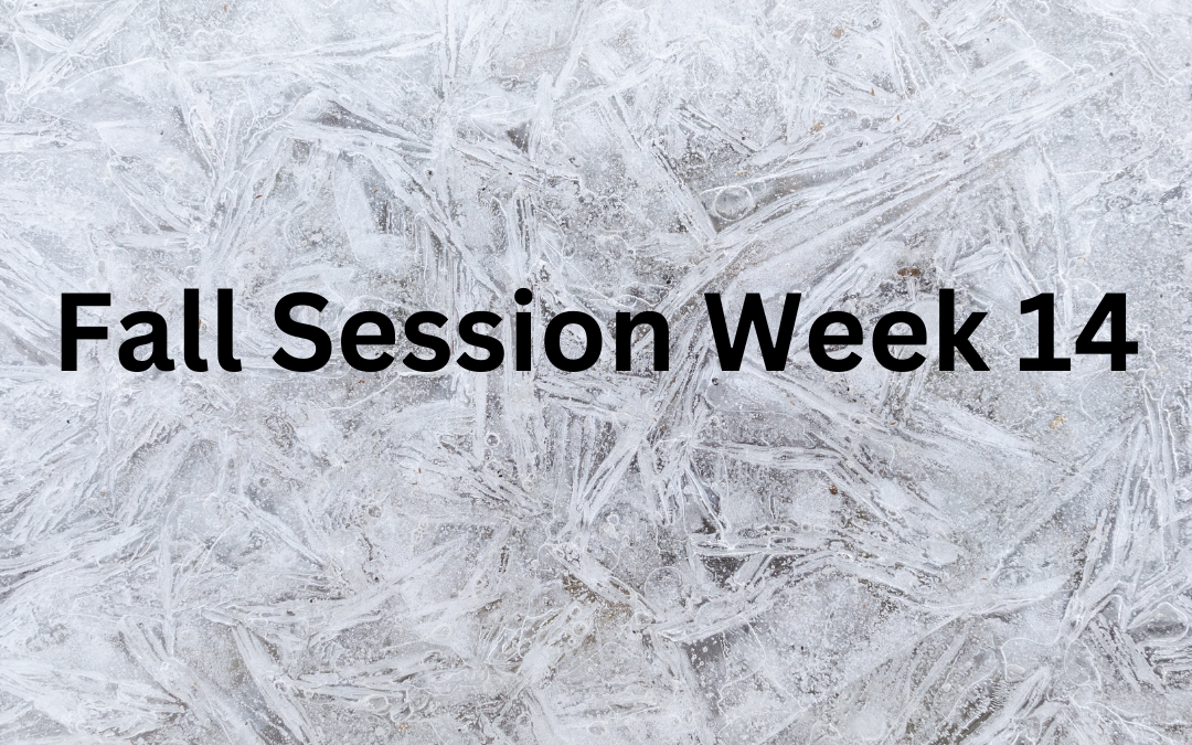 Fall Session Week 14: Monday, December 9th – Sunday, December 15th